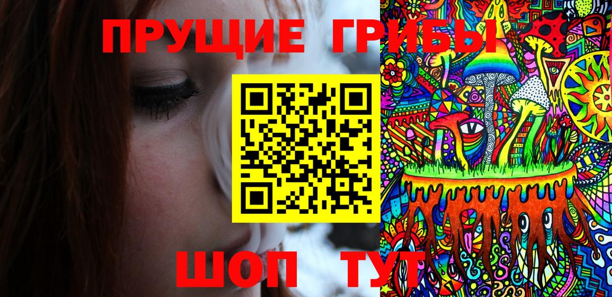 Псилоцибиновые грибы Psilocybine cubensis  Вход с VPN  Чехов 