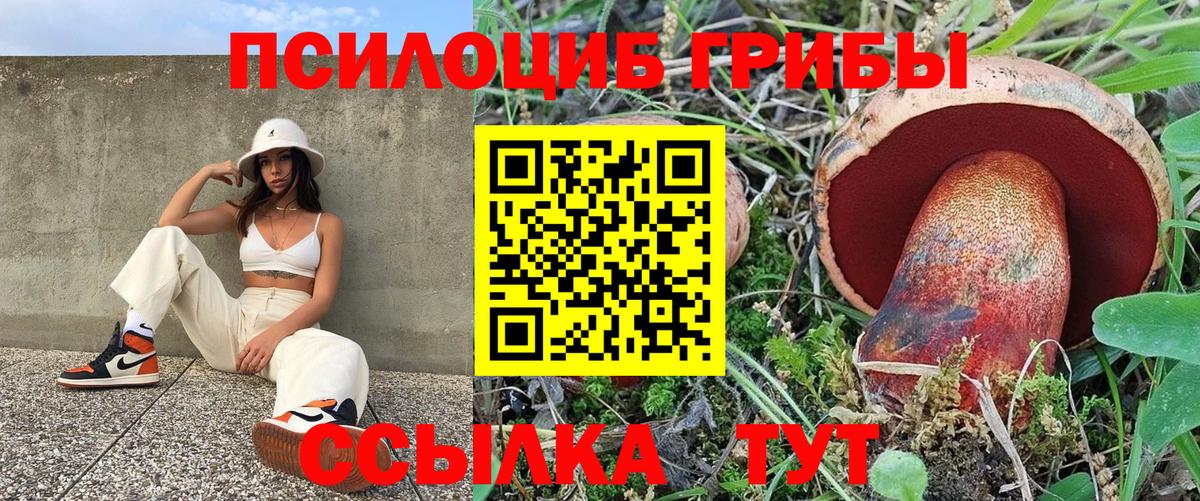 Галлюциногенные грибы Magic Shrooms Чехов